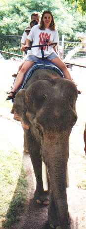 Leah riding Caesar the elephant